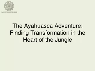 The Ayahuasca Adventure Finding Transformation in the Heart of the Jungle