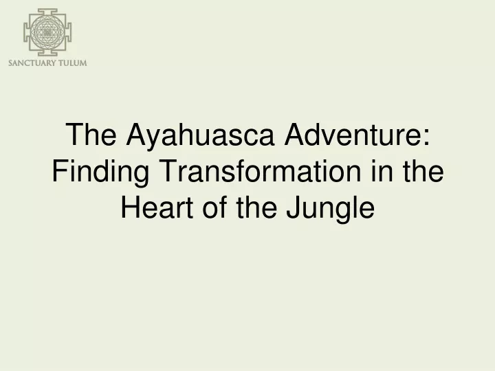 the ayahuasca adventure finding transformation