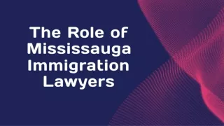 The Role of Mississauga Immigration Lawyers