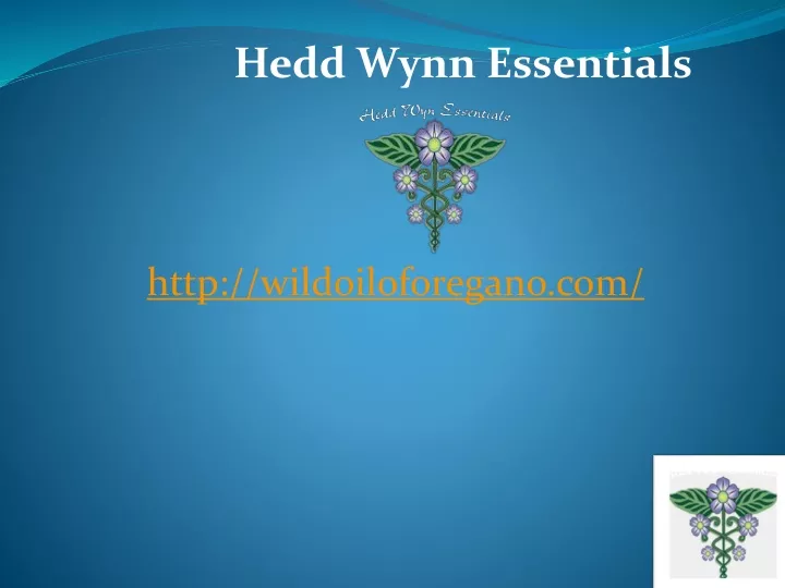 hedd wynn essentials