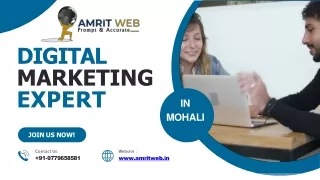 Amrit Web: Digital Marketing Expert in Mohali