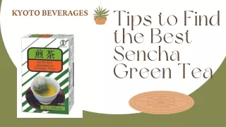 Tips to Find the Best Sencha Green Tea