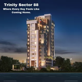 trinity sector 88 where every day feels like