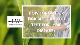 How Long after tick bite can you test for Lyme Disease