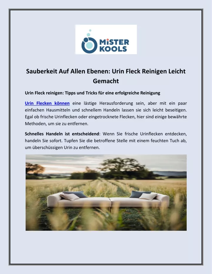 sauberkeit auf allen ebenen urin fleck reinigen