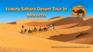 Luxury Sahara Desert Tour in Morocco