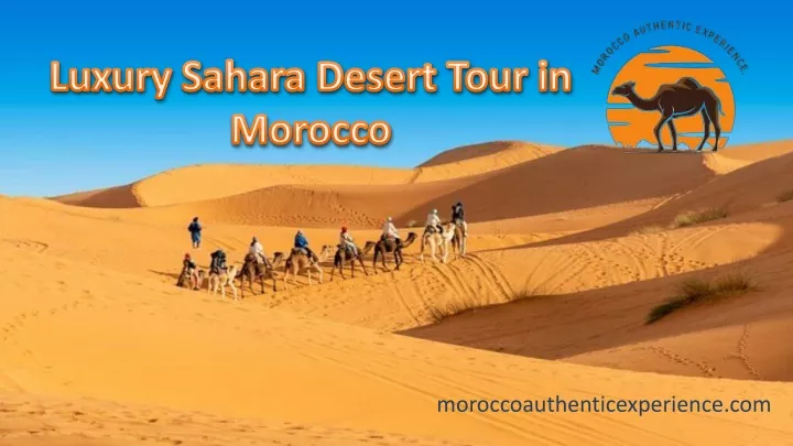 luxury sahara desert tour in morocco