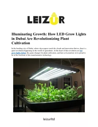Illuminating Growth: How LED Grow Lights  in Dubai Are Revolutionizing Plant  Cu