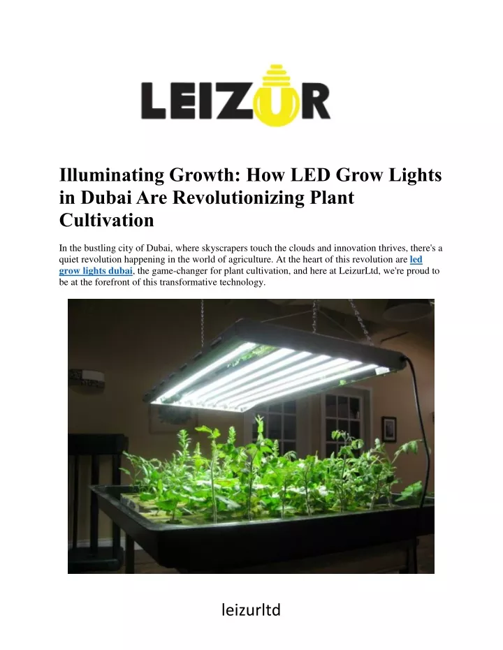 illuminating growth how led grow lights in dubai