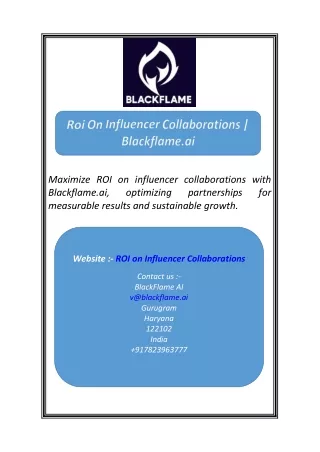 Roi On Influencer Collaborations  Blackflame.ai