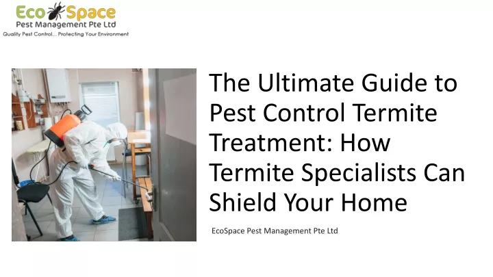 the ultimate guide to pest control termite treatment how termite specialists can shield your home