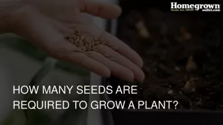 how many seeds are required to grow a plant