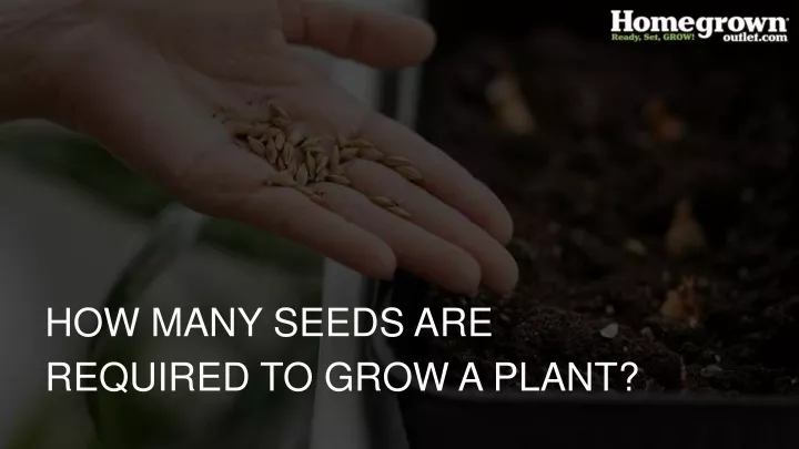 how many seeds are required to grow a plant