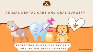 Animal Dental Care And Oral Surgery - Atlas Pet Hospital