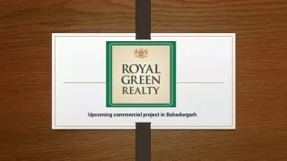 Unveiling Bahadurgarh's Future Royal Green Realty's Upcoming Commercial Project