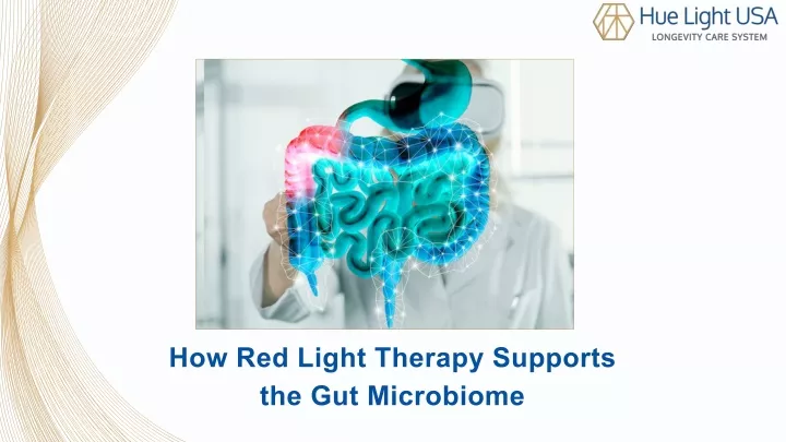how red light therapy supports the gut microbiome