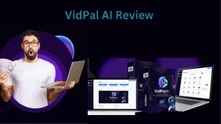 VidPal AI Review