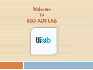 Professional SEO Consulting in Bathurst | Affordable SEO Service| SEO Ads Lab