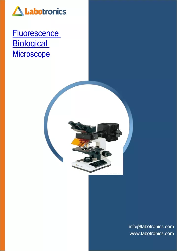 fluorescence biological microscope