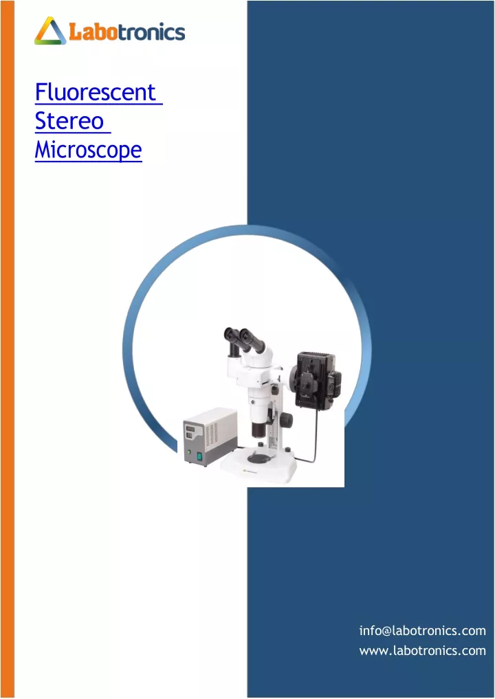 fluorescent stereo microscope