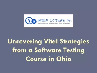 Uncovering Vital Strategies from a Software Testing Course in Ohio