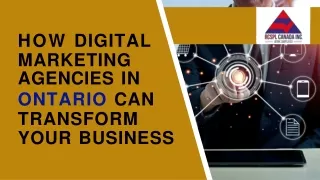 The Role of Digital Marketing Agencies in Ontario's Growing Business.
