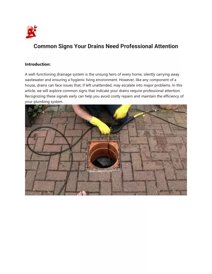 common signs your drains need professional