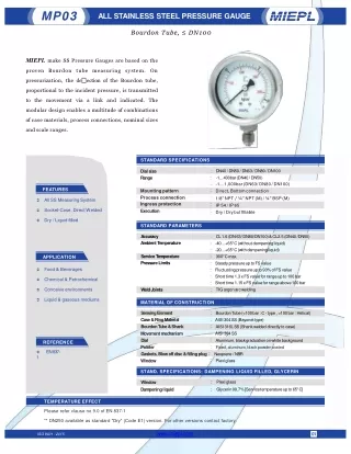 MP03 All Stainless Steel Pressure Gauge - Bourdon Tube, ≤ DN100 | Miepl