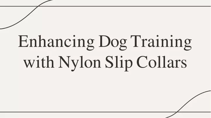 enhancing do g training with nylo n sli p collars