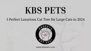 5 Perfect Luxurious Cat Trees for Large Cats in 2024 by KBSPets