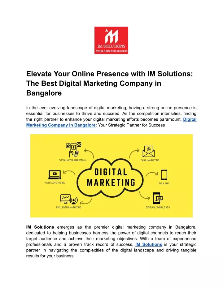 elevate your online presence with im solutions