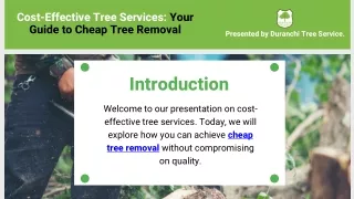 Cost-Effective Tree Services Your Guide to Cheap Tree Removal
