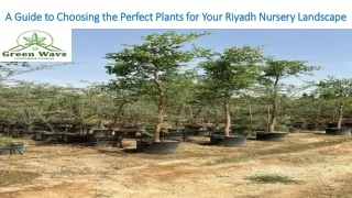 a guide to choosing the perfect plants for your riyadh nursery landscape