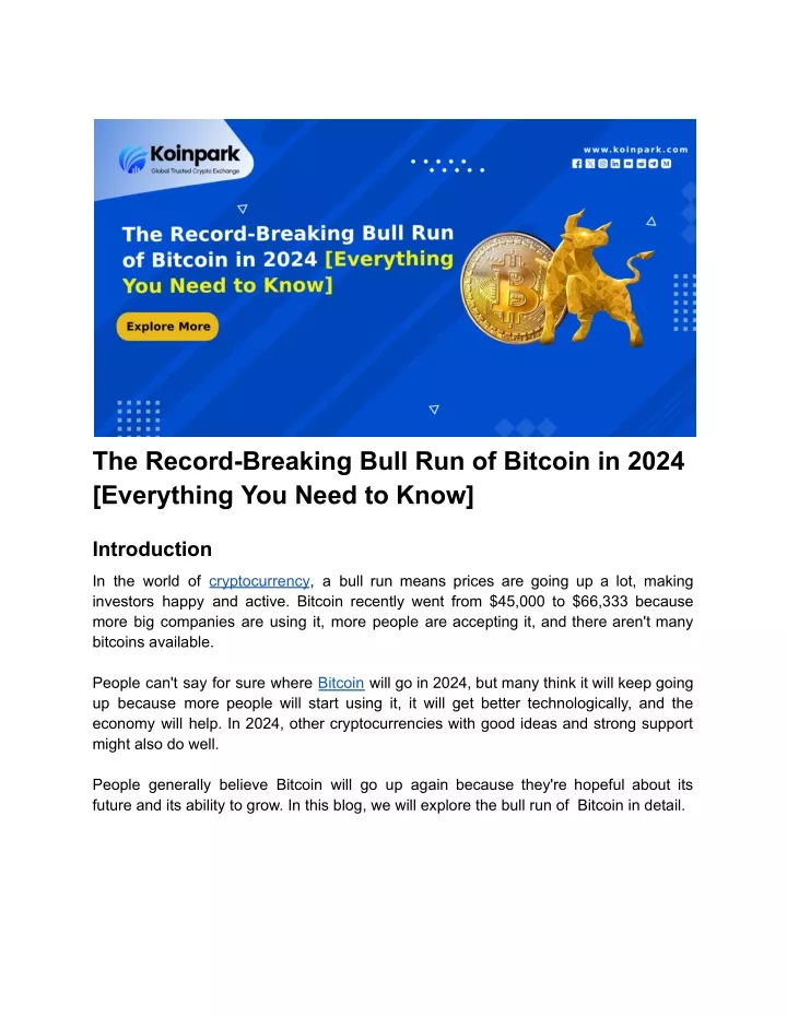 the record breaking bull run of bitcoin in 2024