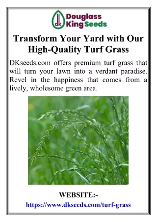 Transform Your Yard with Our HighQuality Turf Grass