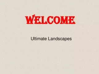 welcome