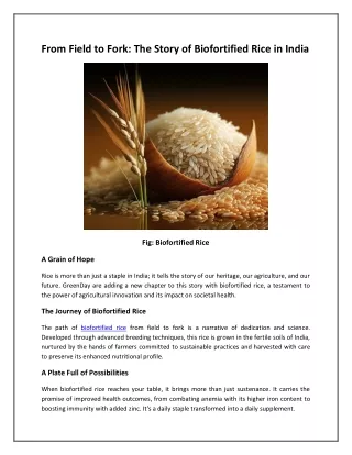 From Field to Fork: The Story of Biofortified Rice in India