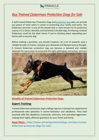 Buy Trained Doberman Protection Dogs for Sale