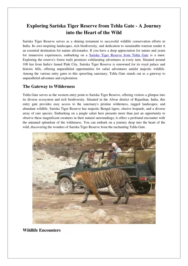 exploring sariska tiger reserve from tehla gate