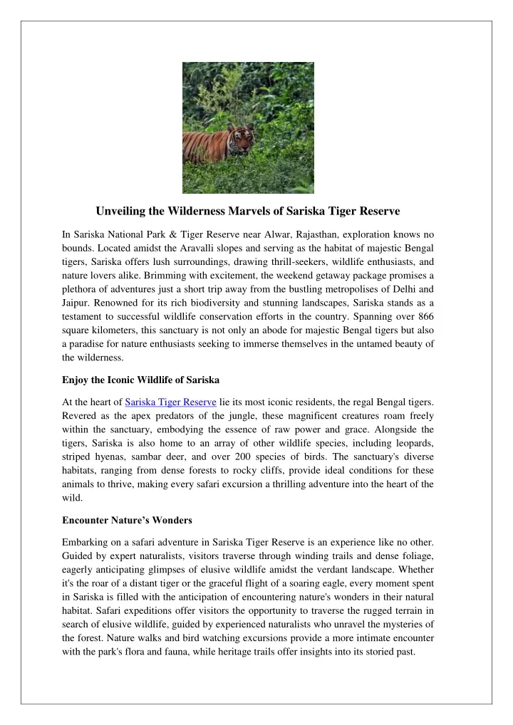 unveiling the wilderness marvels of sariska tiger