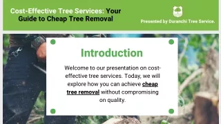 Affordable Tree Services: Mastering Cheap Tree Removal