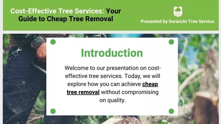 cost effective tree services your guide to cheap