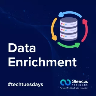 Data Enrichment