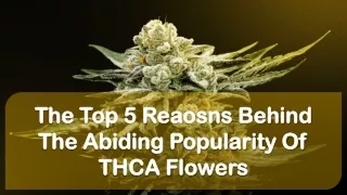 The Top 5 Reaosns Behind The Abiding Popularity Of THCA Flowers