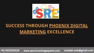 success through phoenix digital marketing