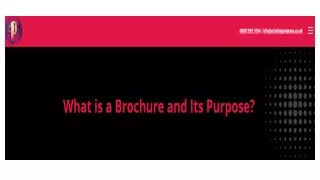 What is a Brochure and Its Purpose?