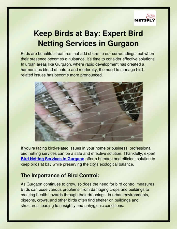 keep birds at bay expert bird netting services