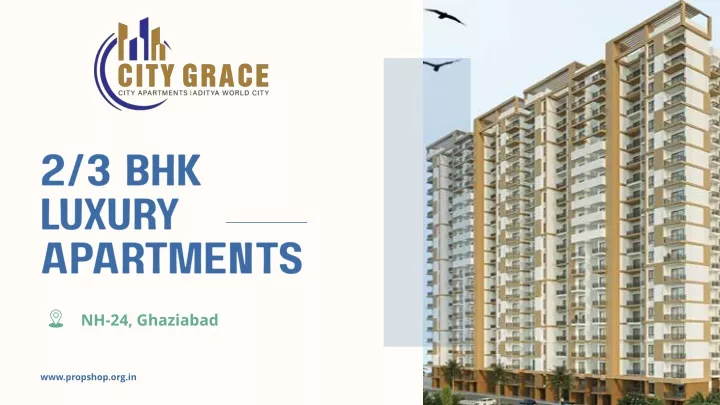 2 3 bhk luxury apartments