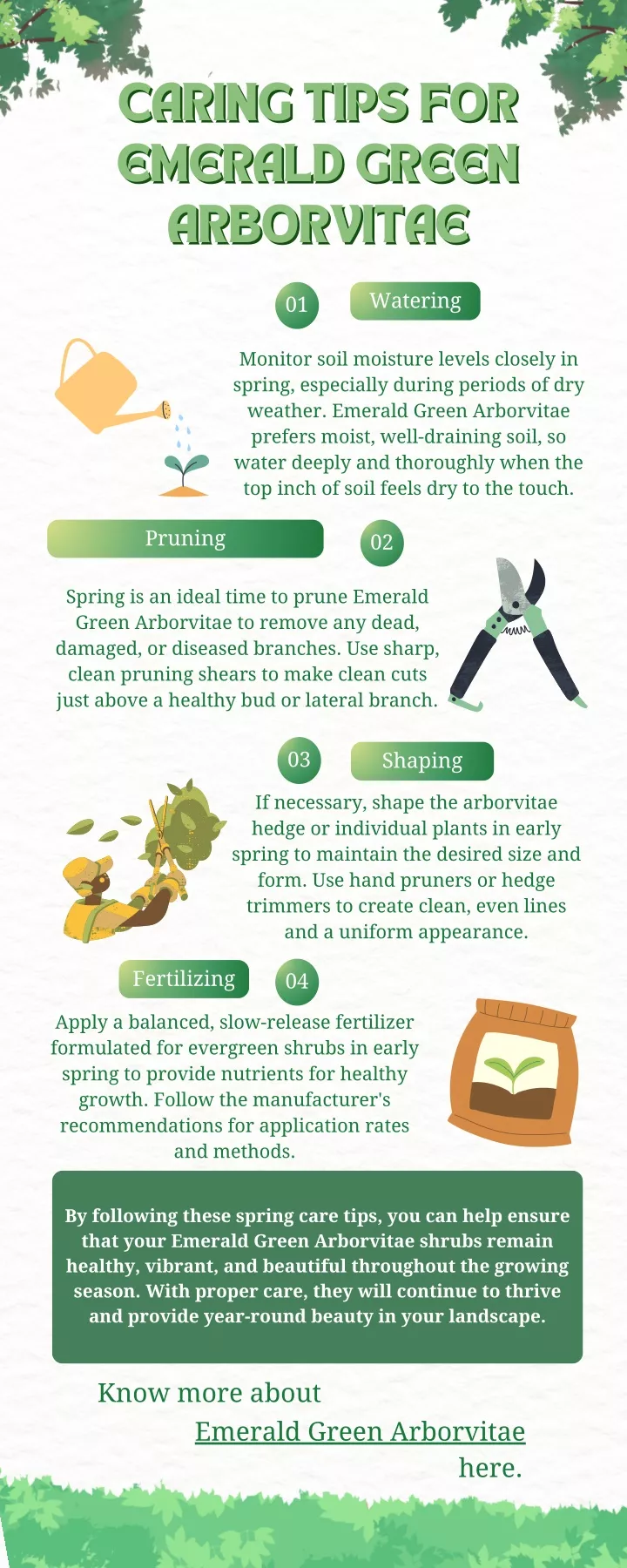 caring tips for caring tips for emerald green