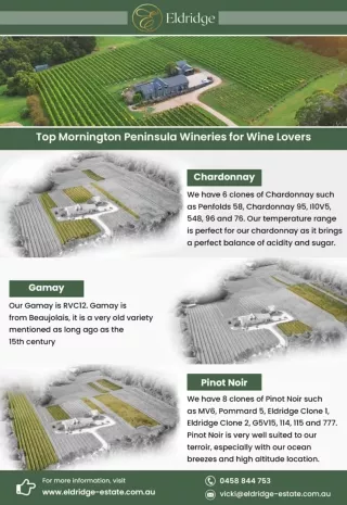 Top Mornington Peninsula Wineries for Wine Lovers